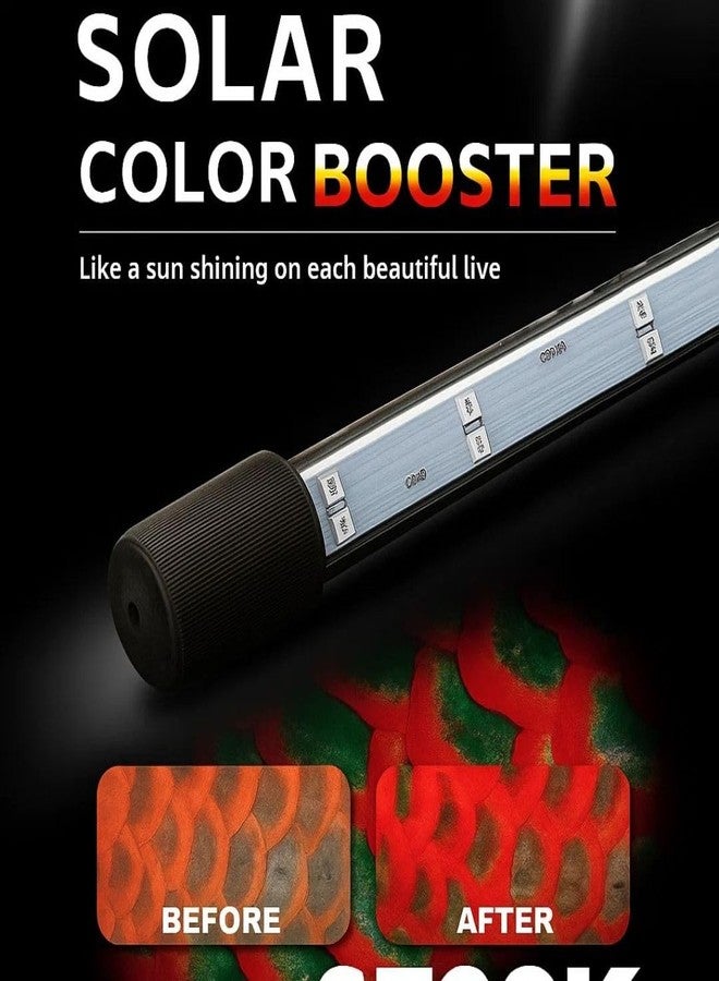 VAYINATO Solar Colour Booster Aquarium LED Light - Tanning Pro Fish Color Enhancing Lamp | Professional Aquarium Lighting for Arowana, Channas, Cichlids, Flowerhorn (L-100 (Suitable for 100 Cm Tank)) - Image 4